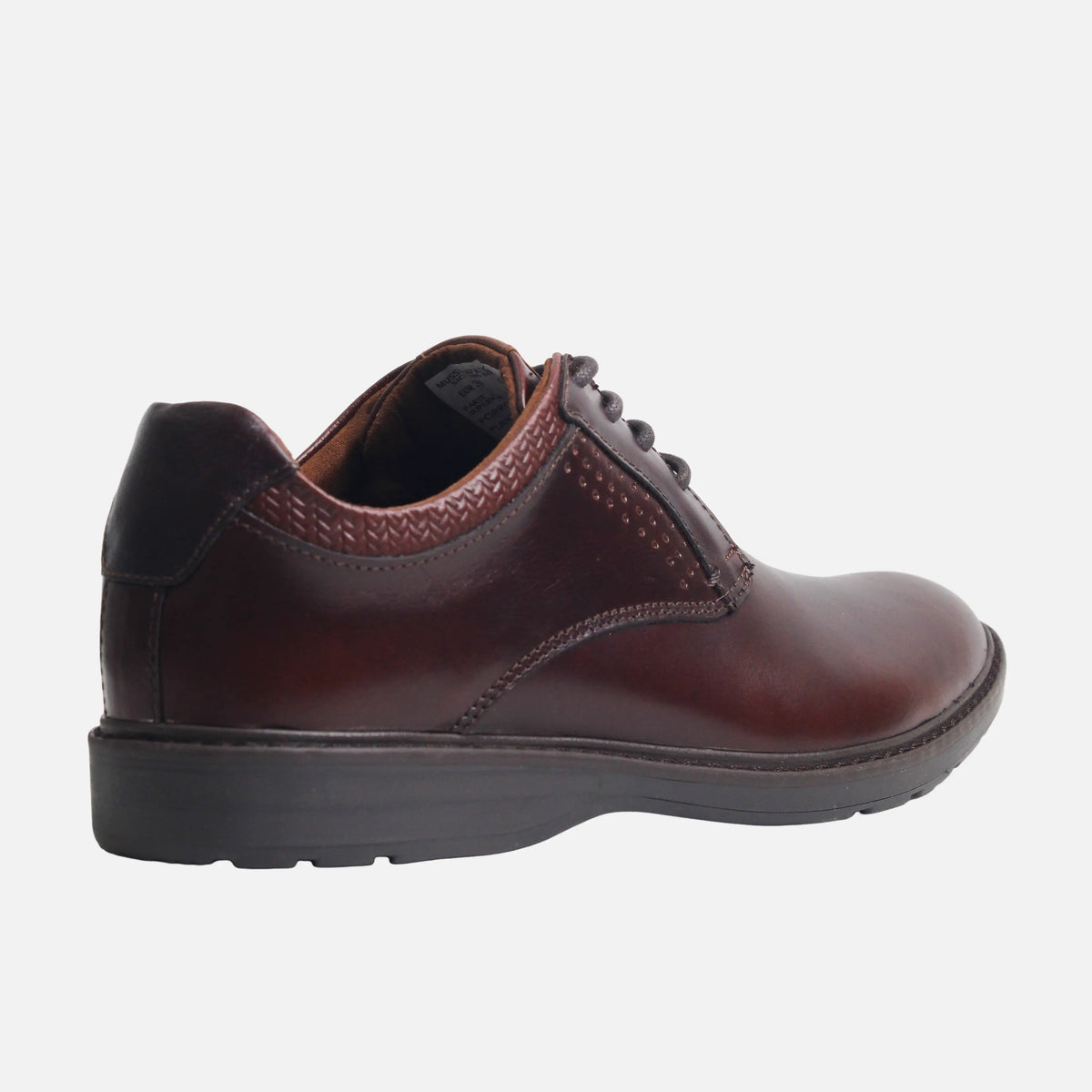 Tenis oliva de cuero para hombre - Café