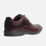 Tenis oliva de cuero para hombre - Café