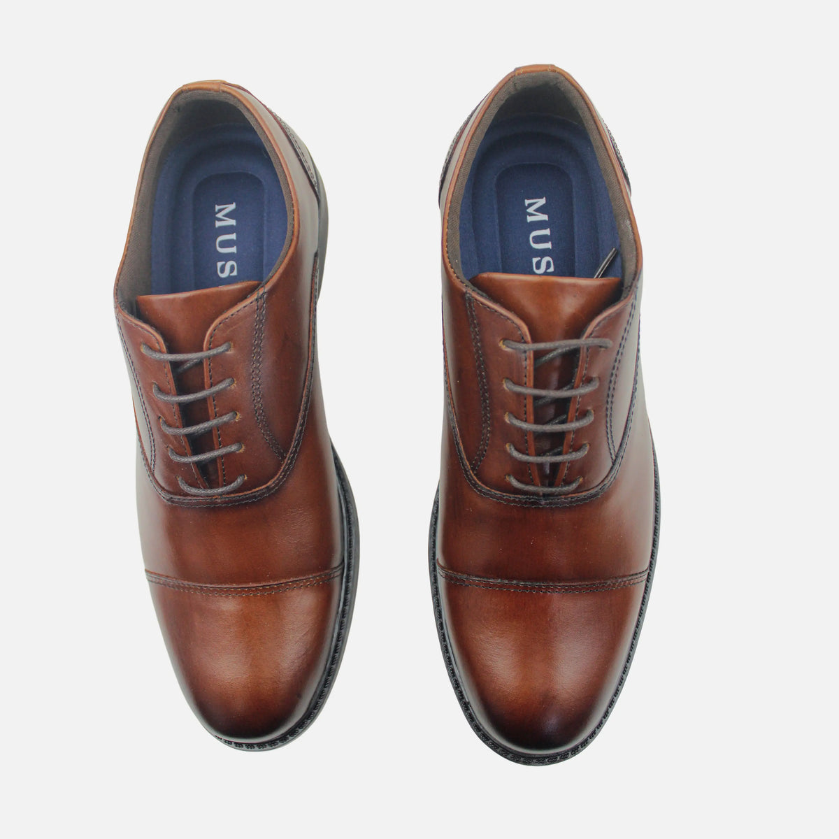 Tenis antonelli de cuero para hombre - Miel